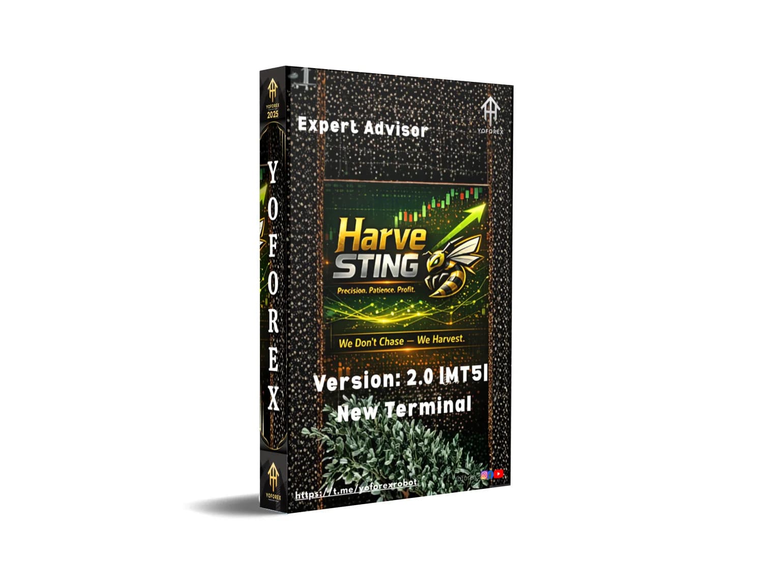 HarveSTING X MT5: The Forex Fury That's Harvesting Fortunes Overnight – Act Before It's Too Late!