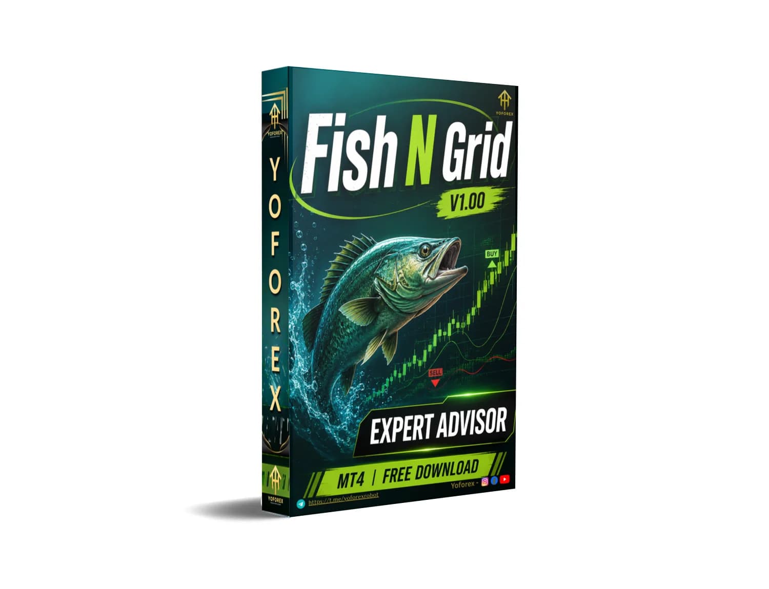 Fish N Grid EA