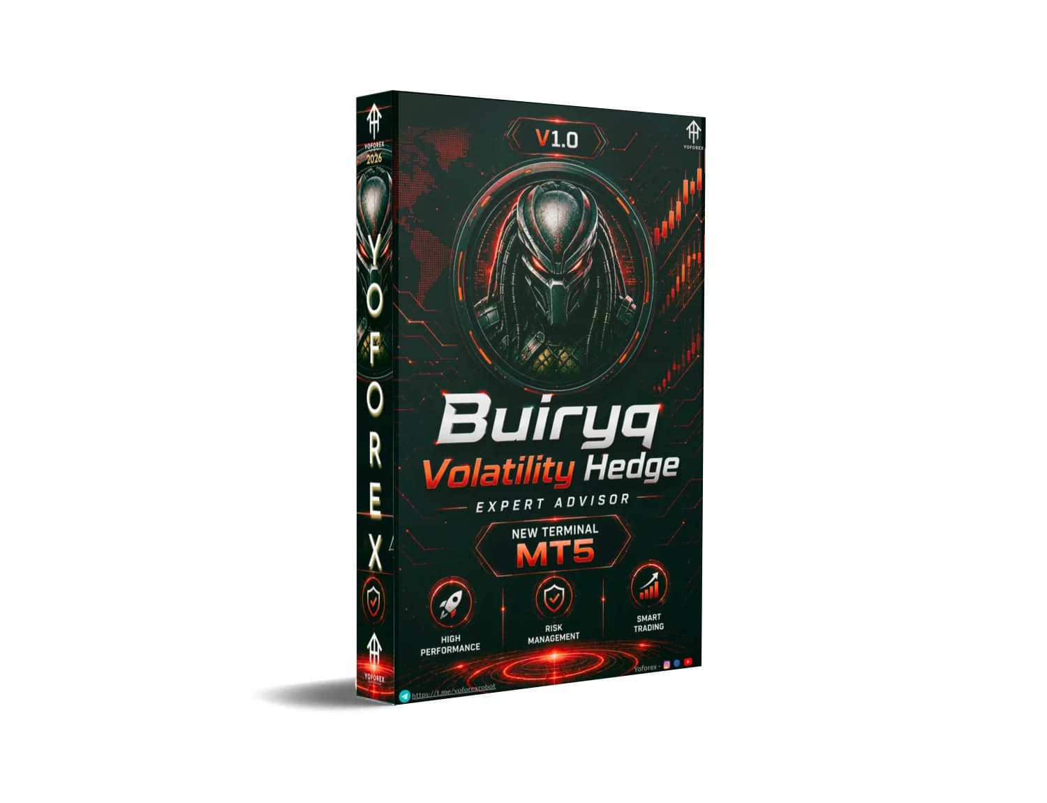 Buiryq Volatility Hedge MT5