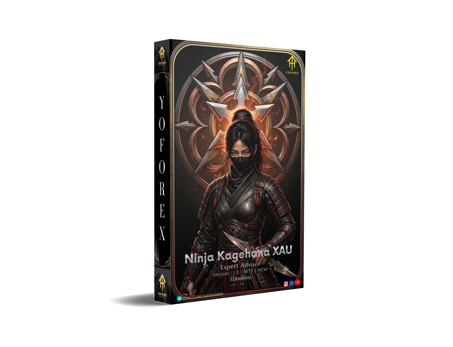 Ninja Kagehana XAU EA v1.2 MT5 Guide | FXCracked