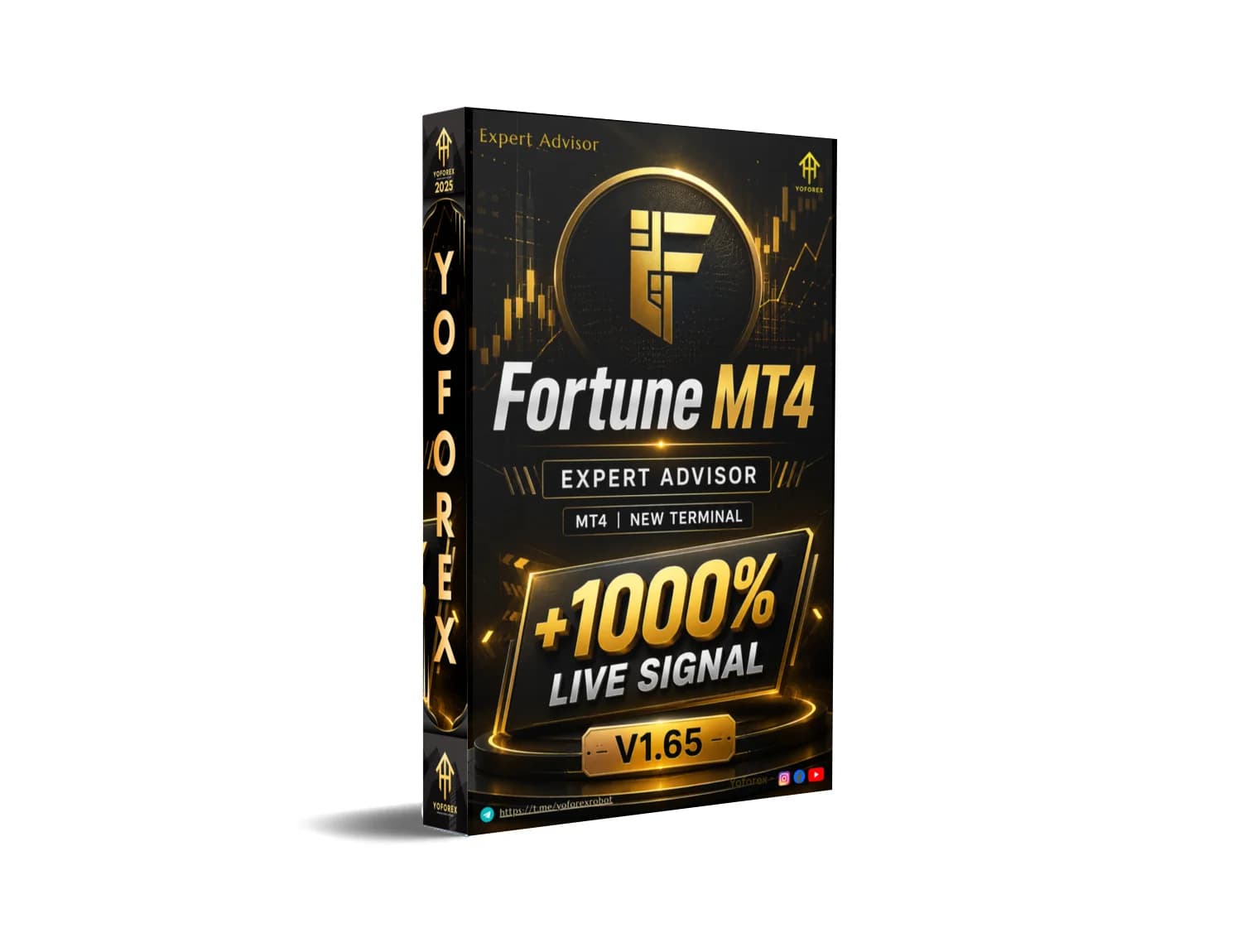 Fortune EA V1.65 MT4 