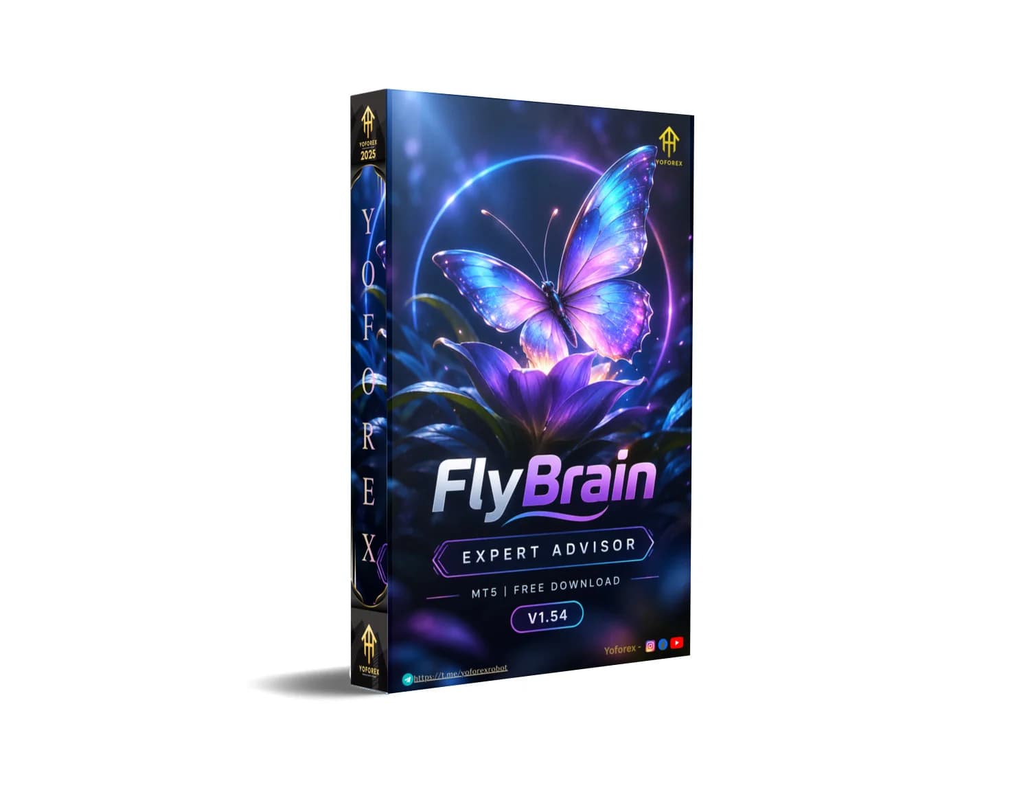 FlyBrain EA V1.54 MT5