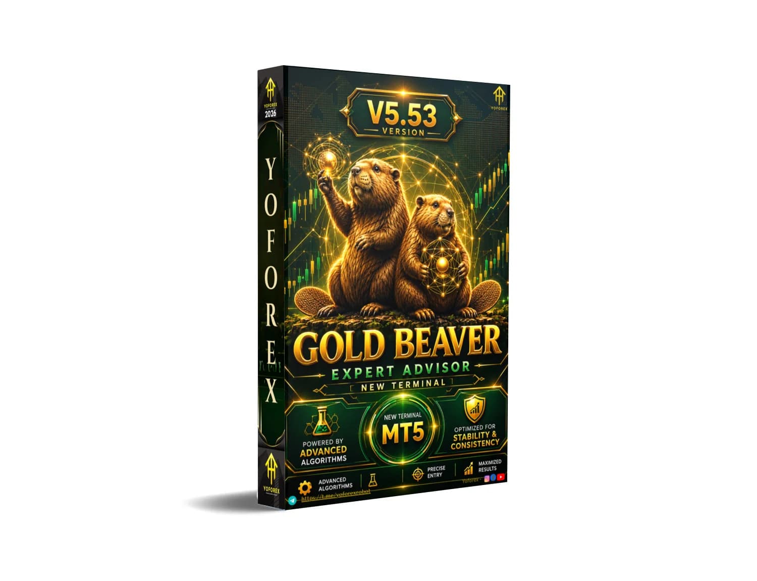 Gold Beaver EA V5.53 MT5 