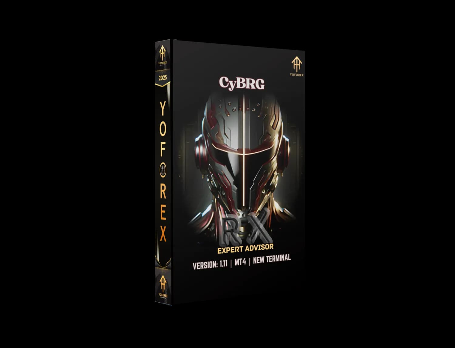 CyBRG RX EA 1.11 MT4