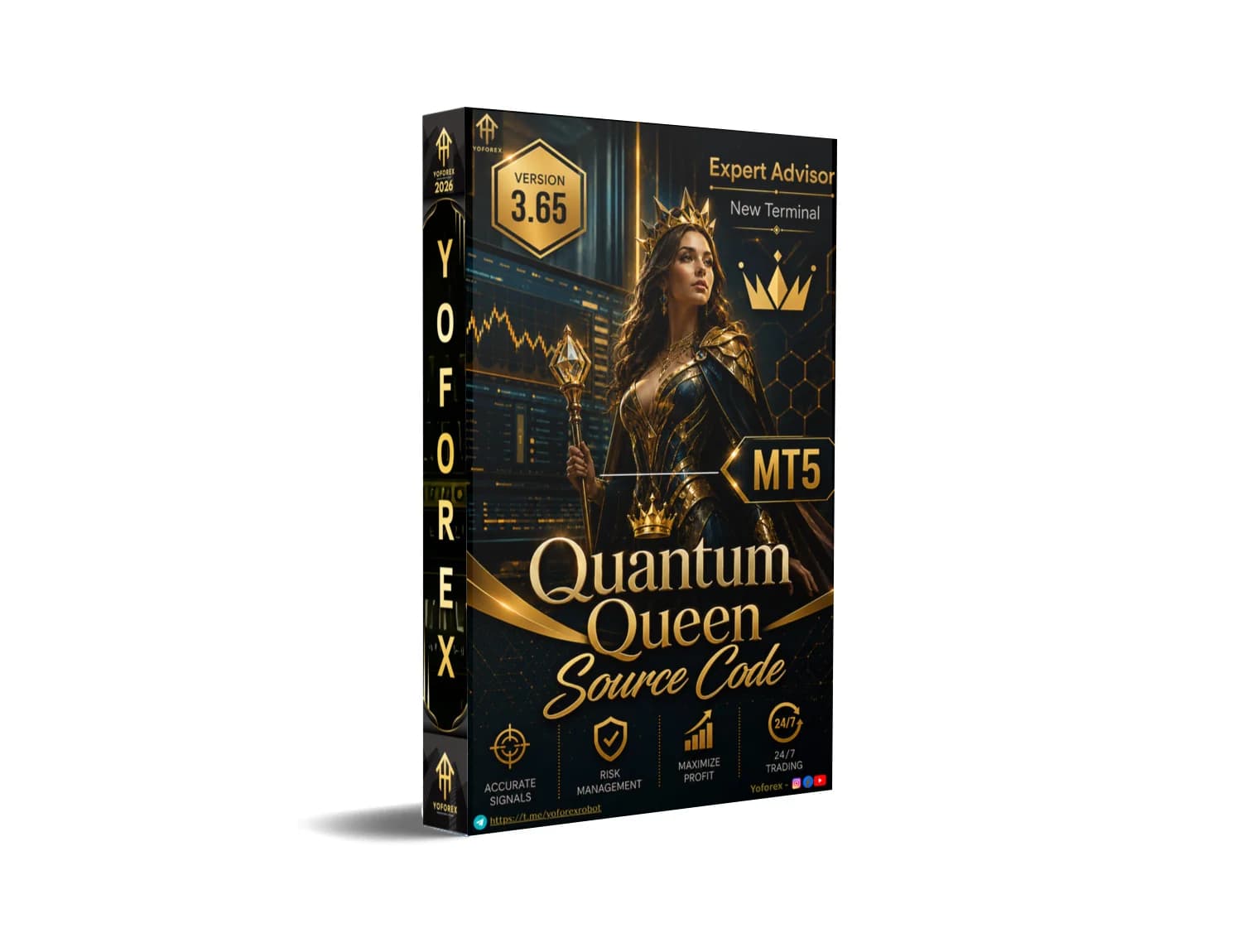 URGENT: Quantum Queen Source Code FREE Download - MT4/MT5 GitHub Now!