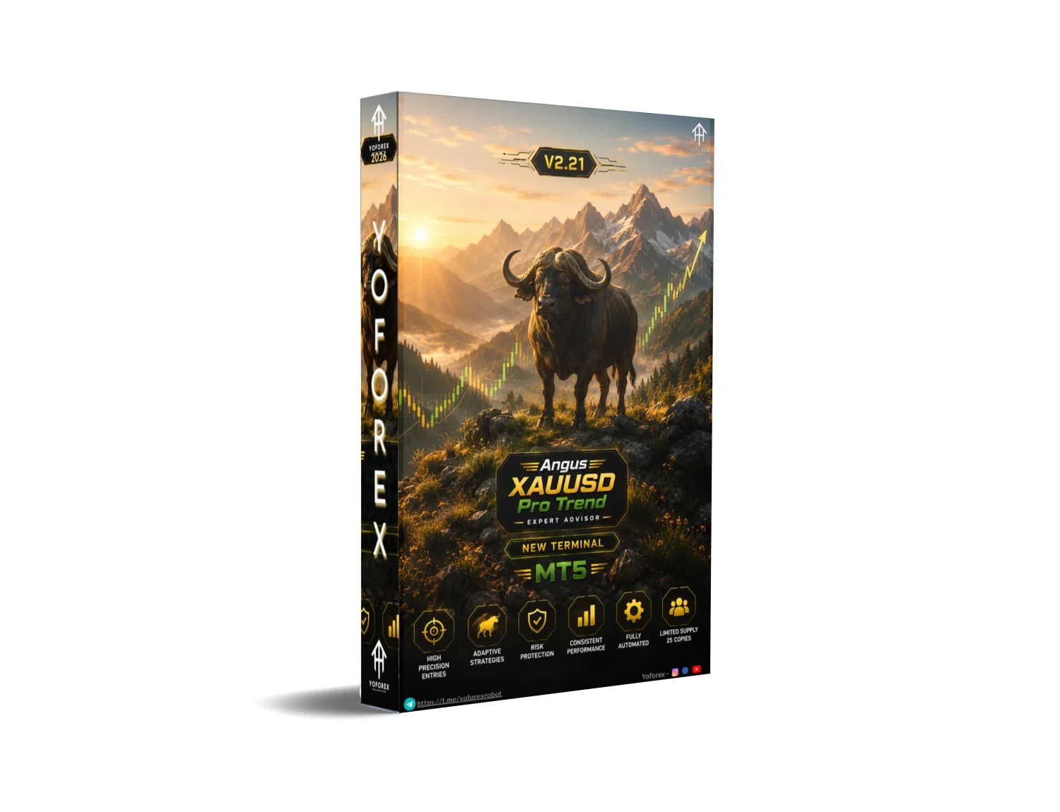 Angus XAUUSD Pro Trend MT5