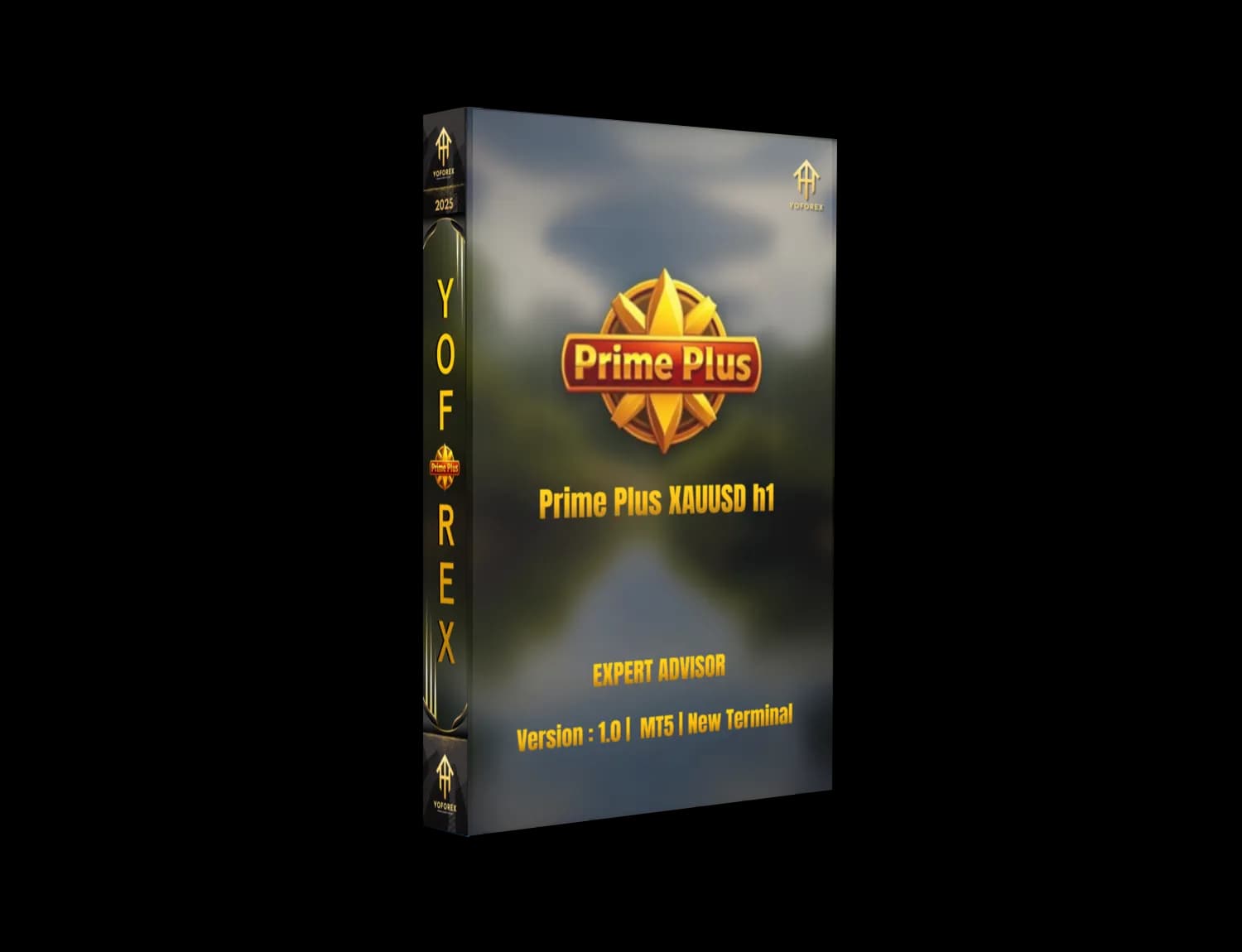 Prime Plus XAUUSD H1 EA MT5 – Powerful Gold Scalper Bot - FREE DOWNLOAD