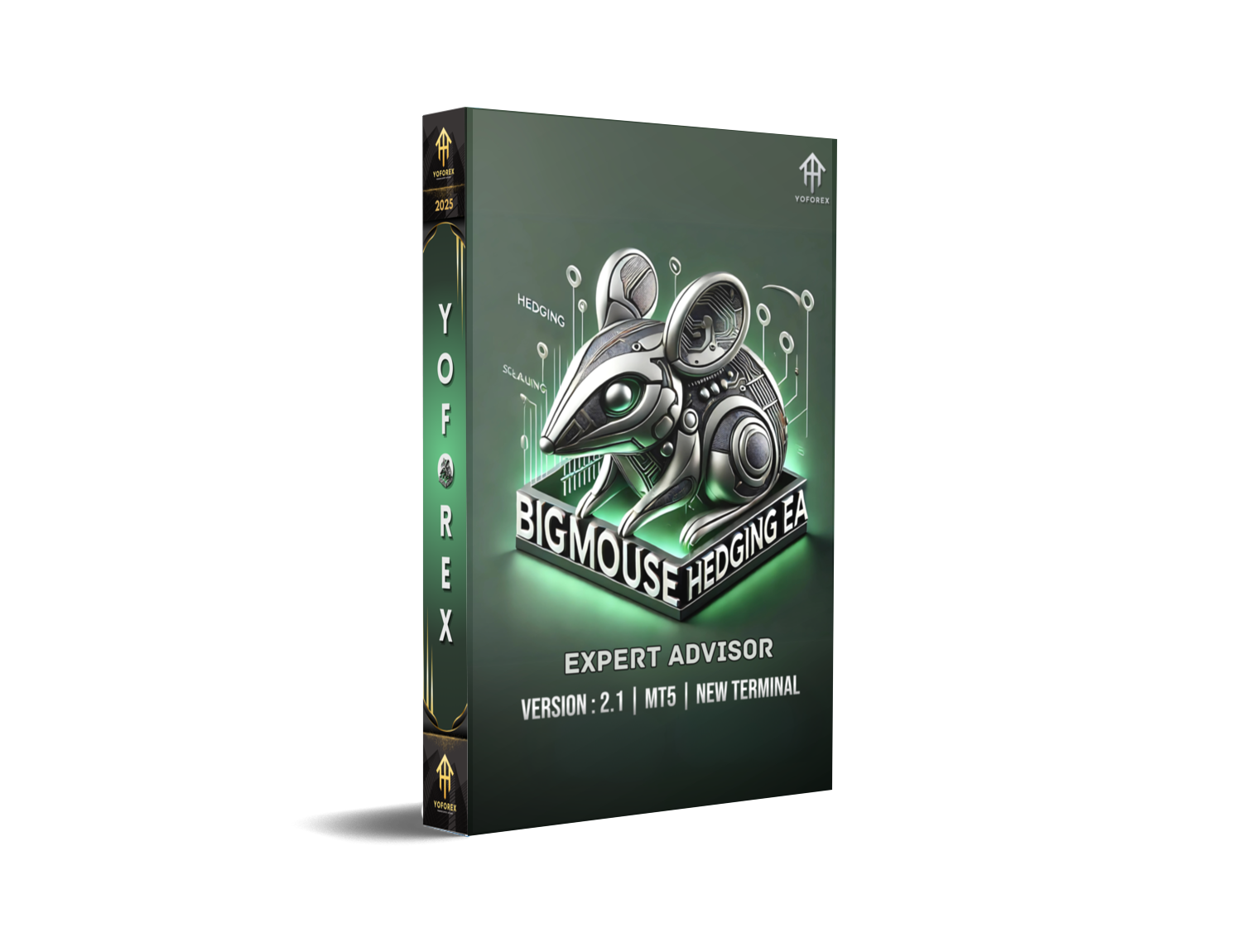 Bigmouse Hedging EA V2.1 MT5: Mastering Forex Volatility with Precision Hedging - FREE DOWNLOAD