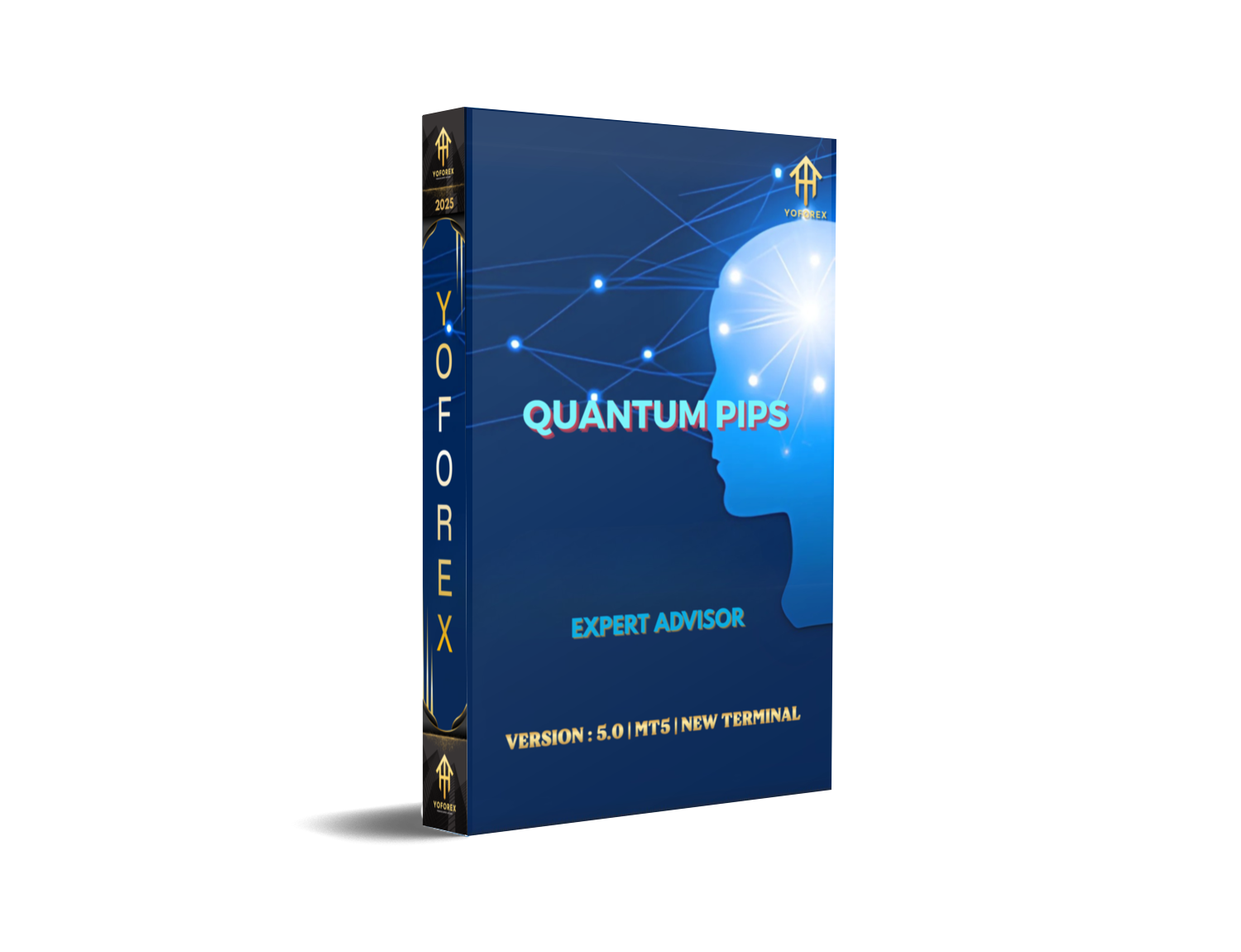 Quantum Pips EA V5 MT5: Precision Trading Redefined- FREE DOWNLOAD