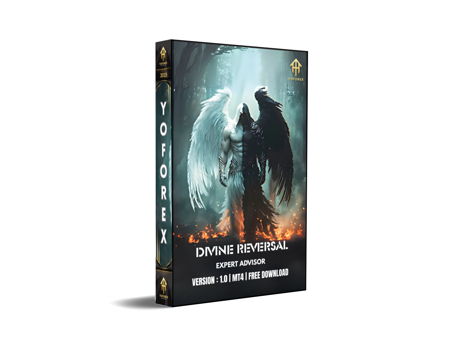 Divine Reversal EA V1.0 MT4