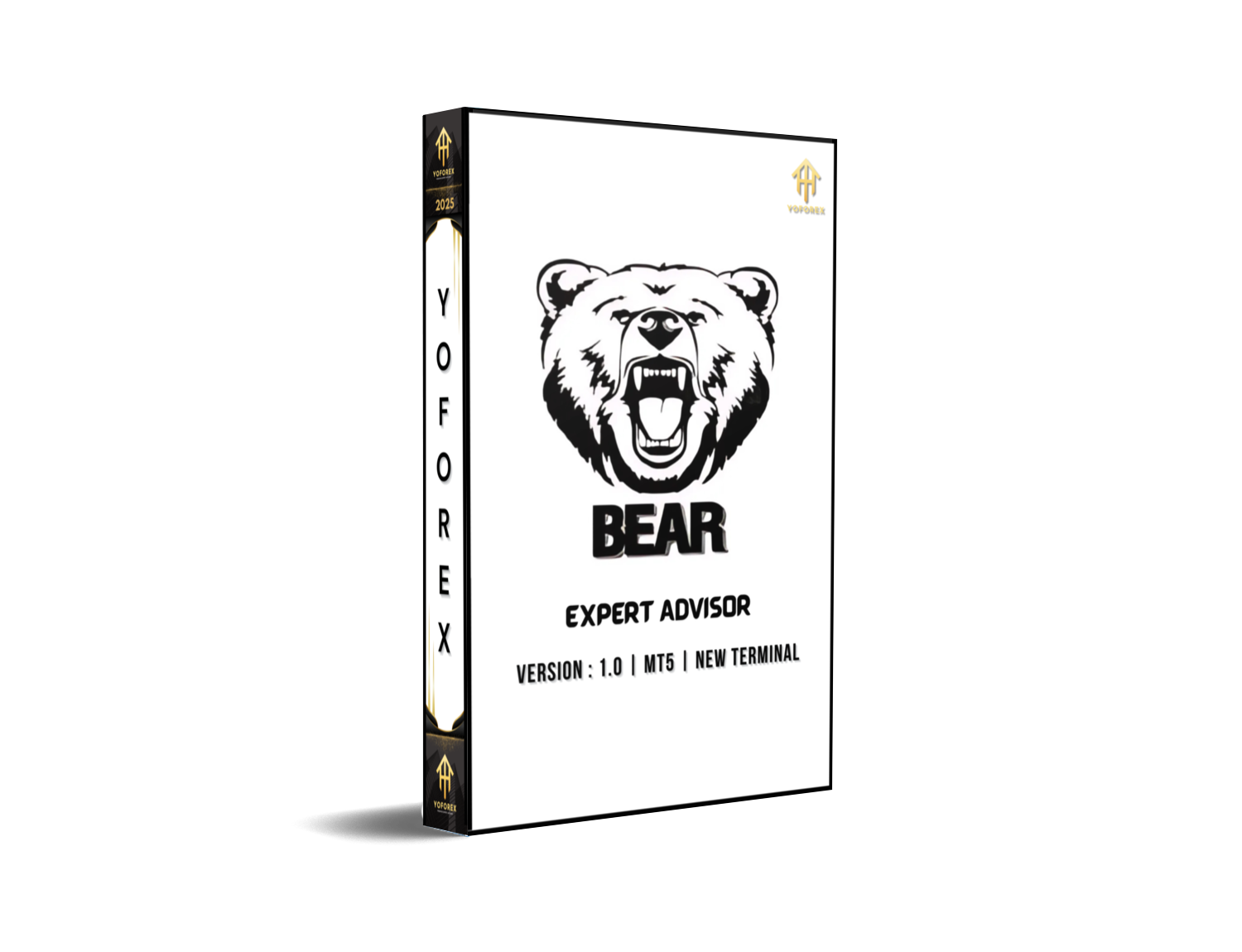 BEAR EA V1.0 MT5