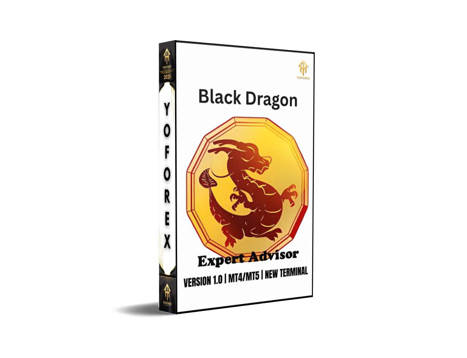 EA Black Dragon V1.0 MT4MT5
