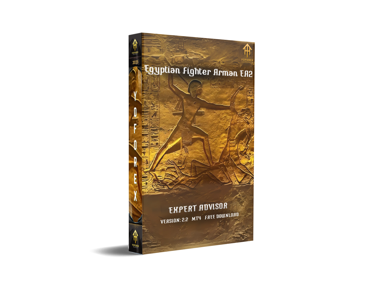 Egyptian Fighter Arman EA2 V2.2 MT4