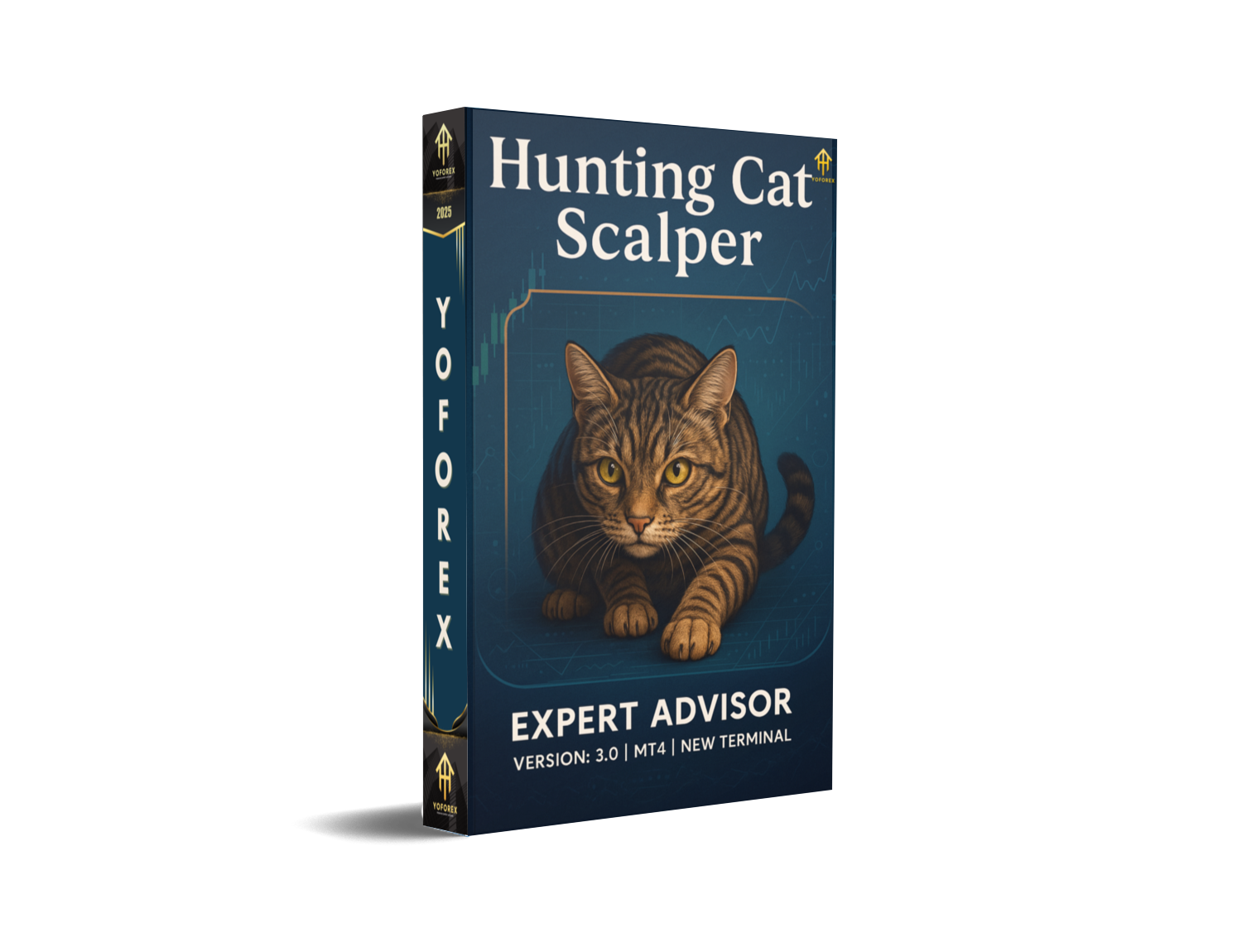 Hunting Cat Scalper EA V3.0 MT4