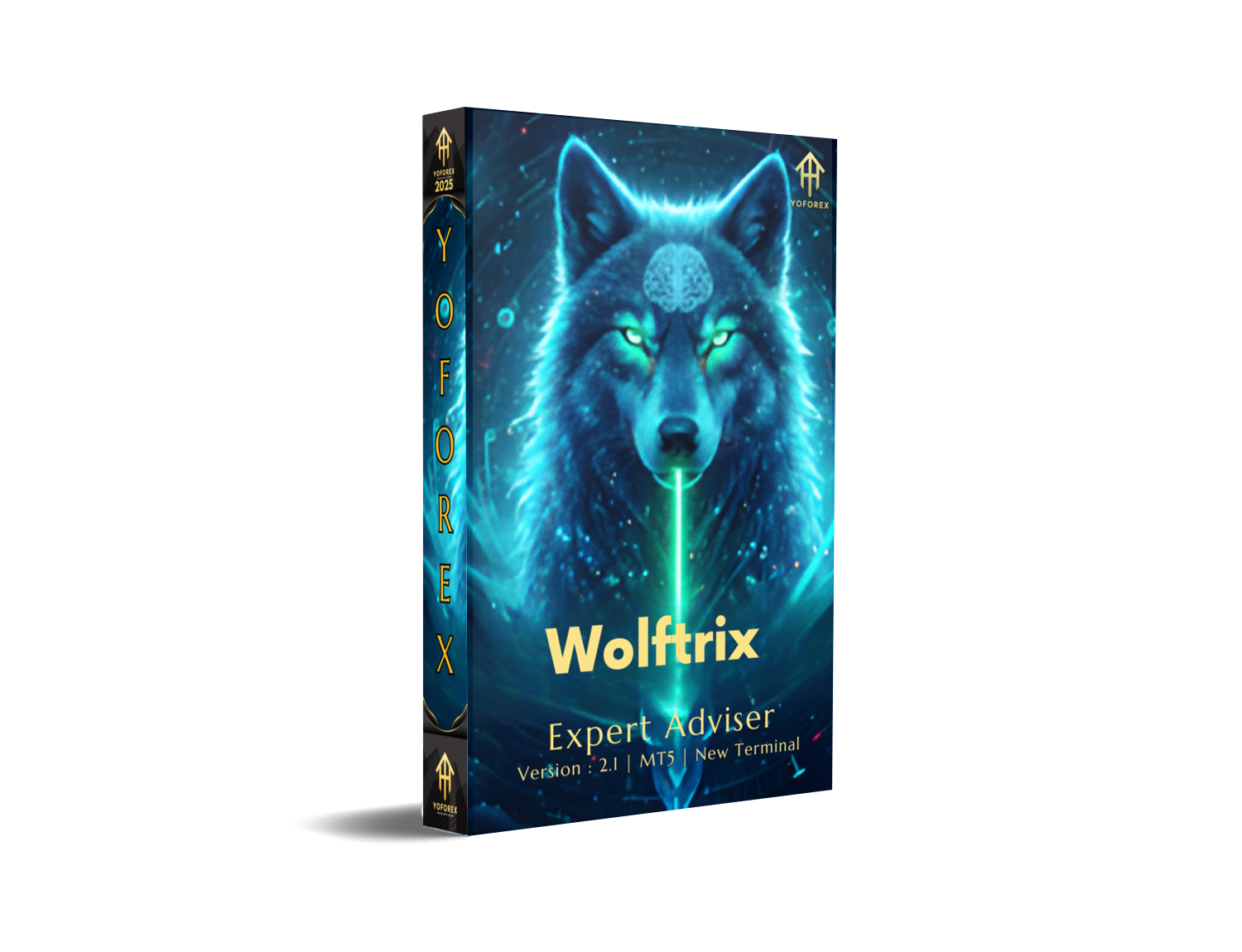 Wolftrix EA V2.1 MT5 – Full Review, Features, Strategy Breakdown & Installation Guide