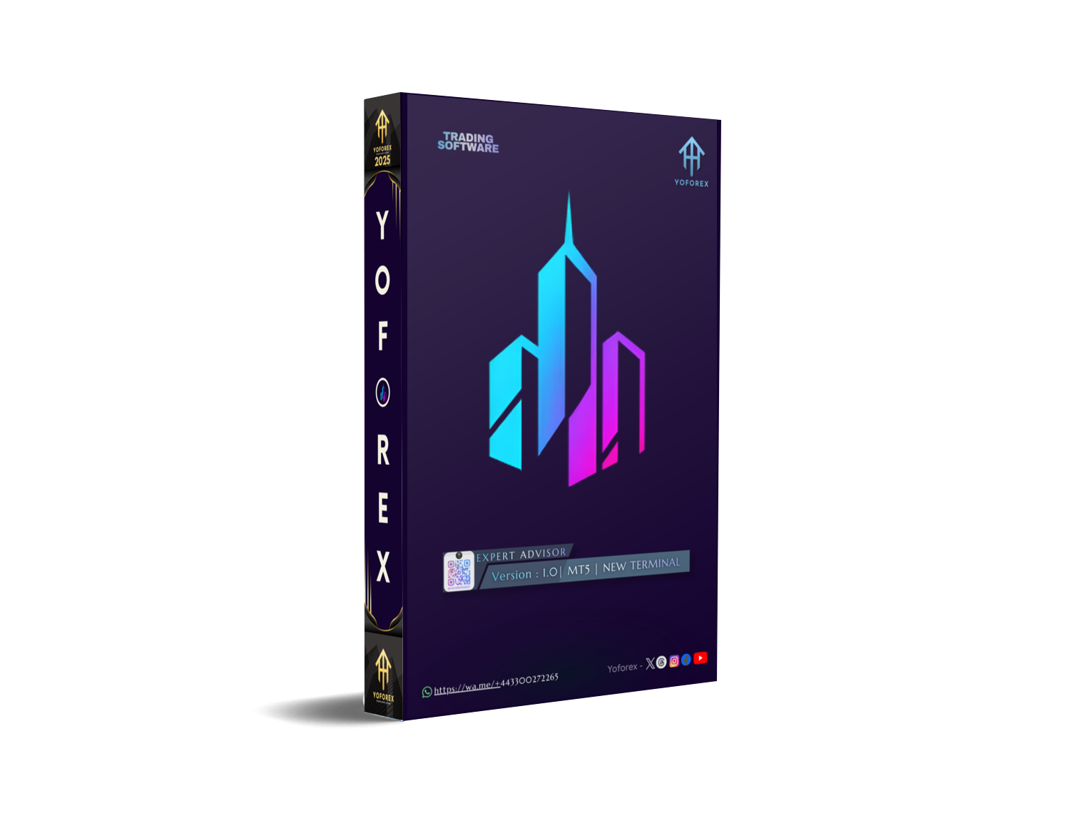 PFK ALPHA EA V1.0 MT5