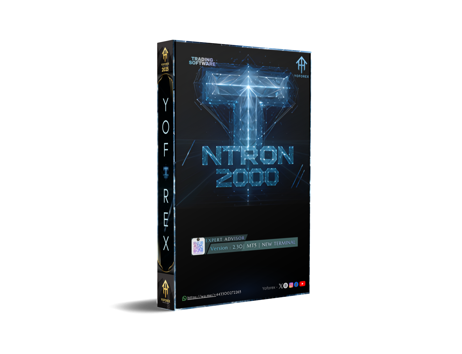 NTRon 2OOO EA V2.30 MT5