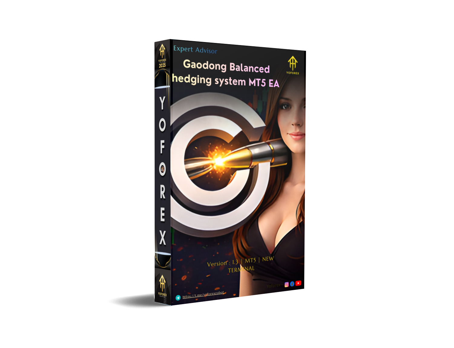 Gaodong Balanced Hedging System MT5 EA V1.3