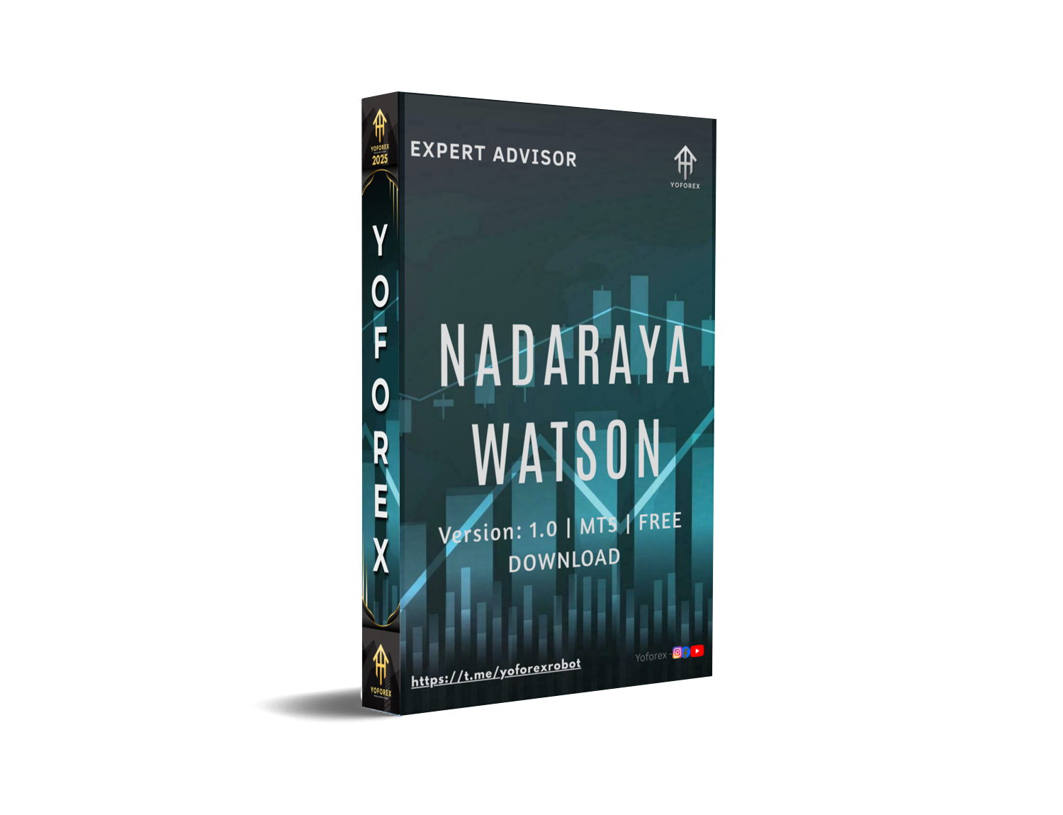 Nadaraya Watson EA V1.0 MT5
