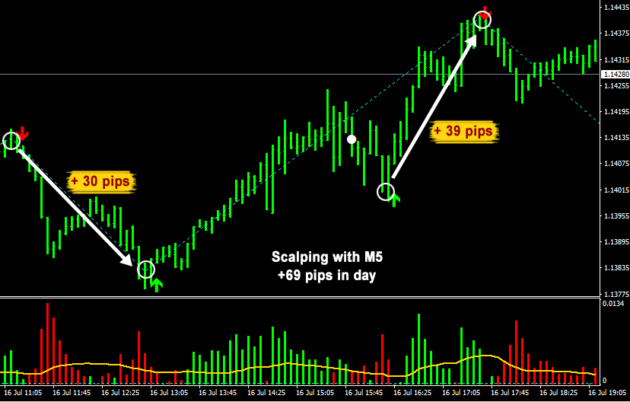 Daily Pips Hunter Indicator MT4