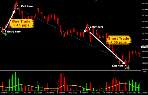 Daily Pips Hunter Indicator MT4