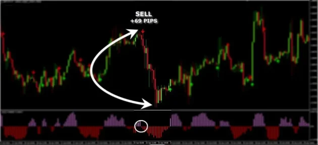 Elastic Trader Indicator MT4