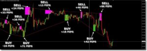 Elastic Trader Indicator MT4