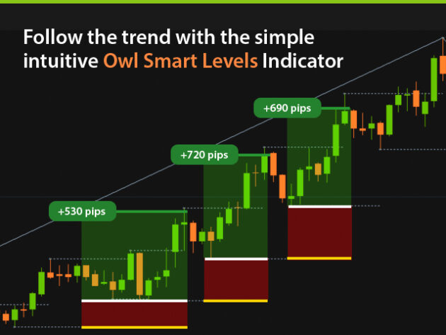 Owl Smart levels Indicator V2.3 MT4+dll