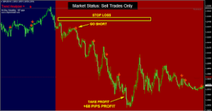 Polygon Scalper Indicator MT4