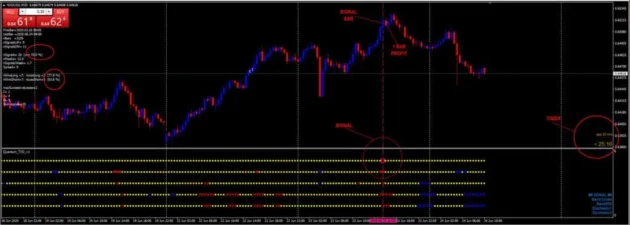 Quantum TIO Indicator V1.5 MT4