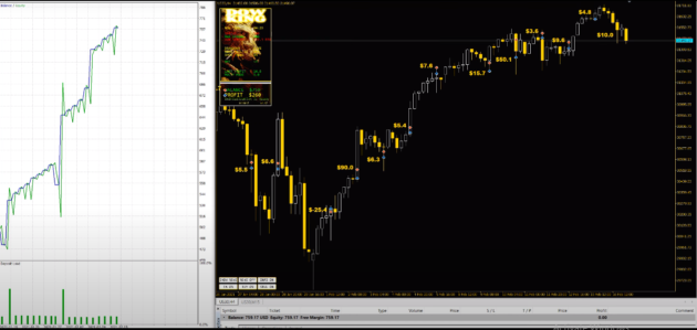 DOW King EA V1.17 MT5