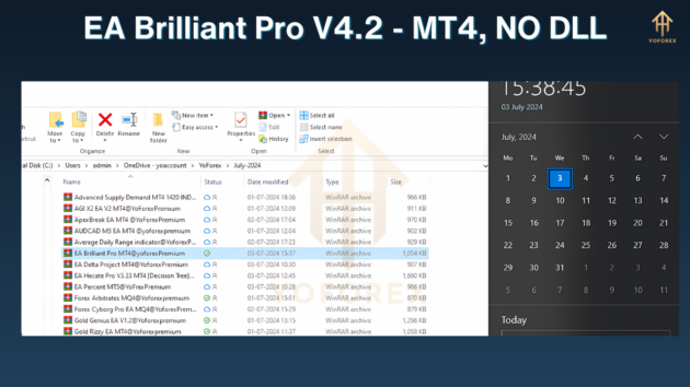 EA Brilliant Pro V4.2