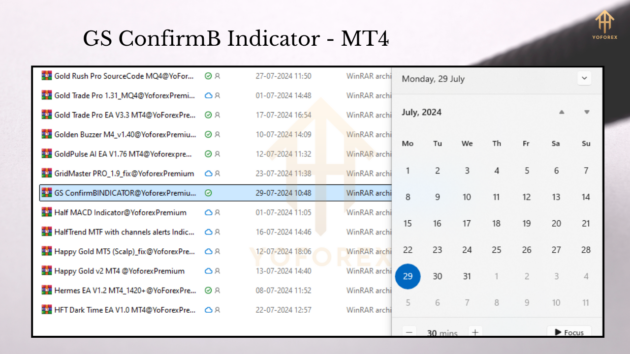 GS ConfirmB Indicator