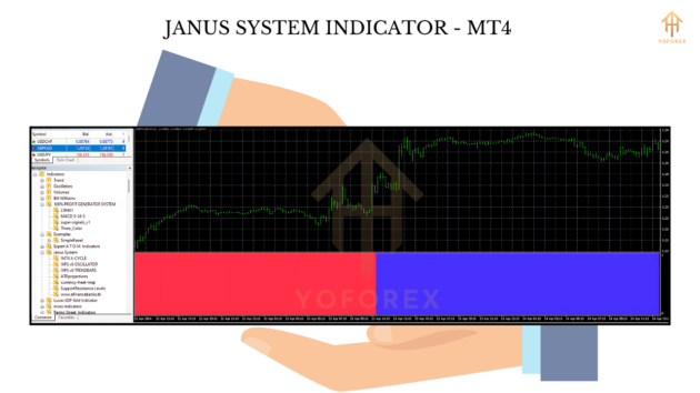 Janus System Indicator