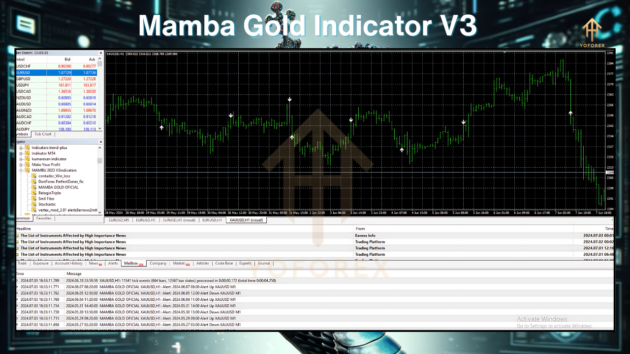 MAMBA GOLD 2023 INDC V3