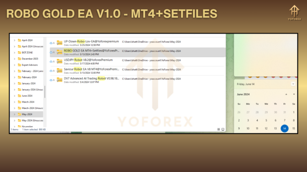 ROBO GOLD EA V1.0+SETFILES