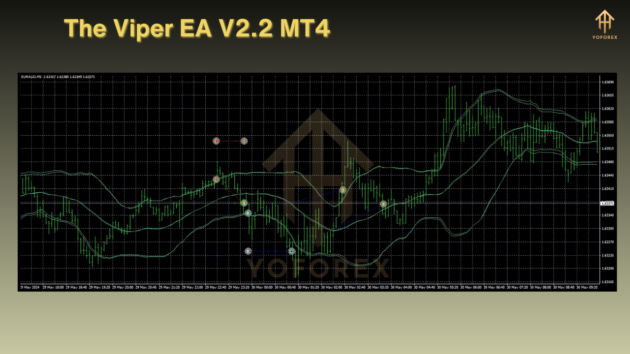 The Viper EA V2.2