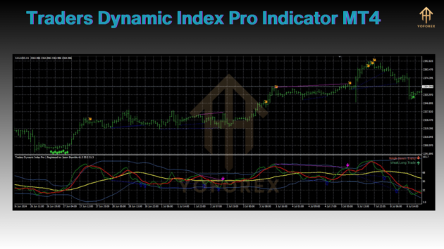 Traders Dynamic Index Pro Indicator