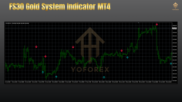 FS30 Gold System