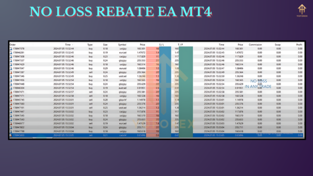 NO LOSS REBATE EA