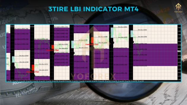 3TIER LBI Indc