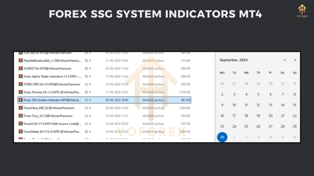 Forex SSG System Indcs M4