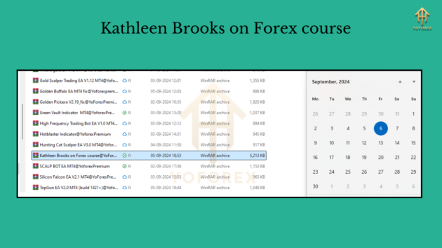 Kathleen Brooks on Forex course