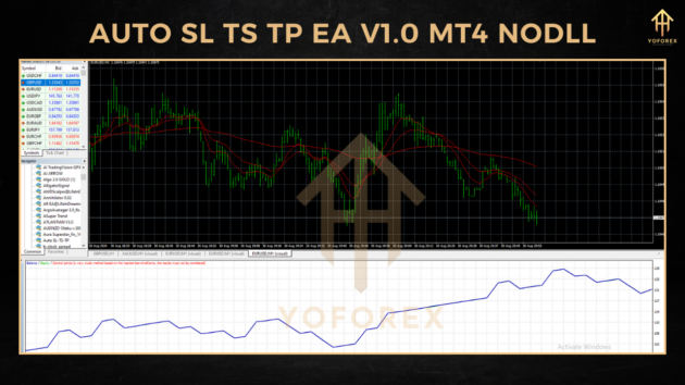 Auto SL TS TP EA V1.0