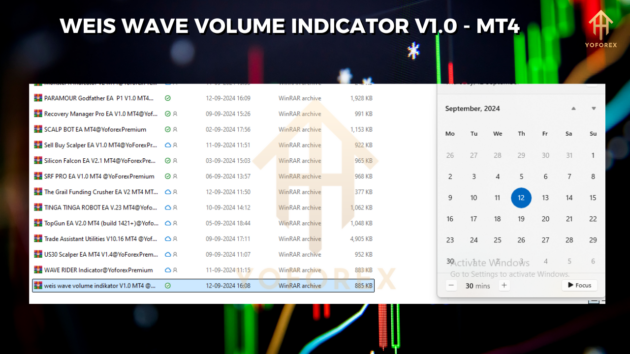 Weis Wave Volume Indikator V1.0 MT4