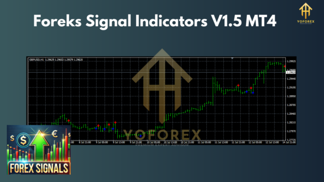 Foreks Signal