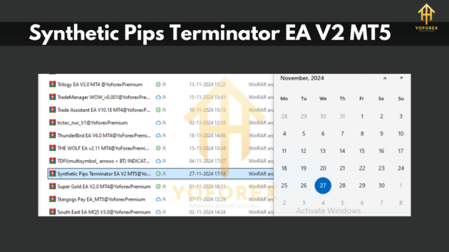 Synthetic Pips Terminator EA V2 MT5