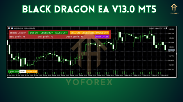 Black Dragon EA V13.0