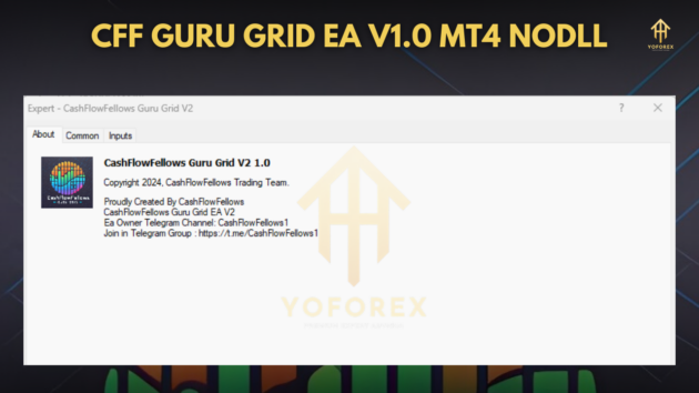 CFF Guru Grid EA V1.0