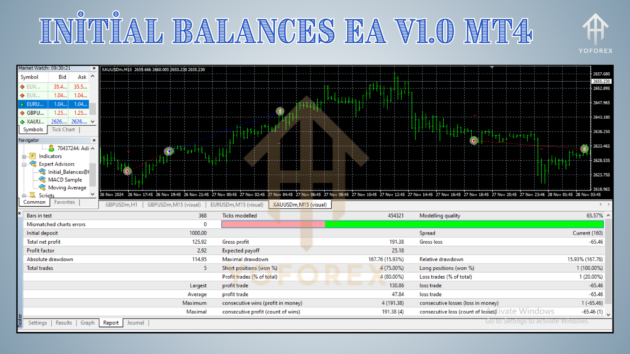 Initial Balances EA V1.0